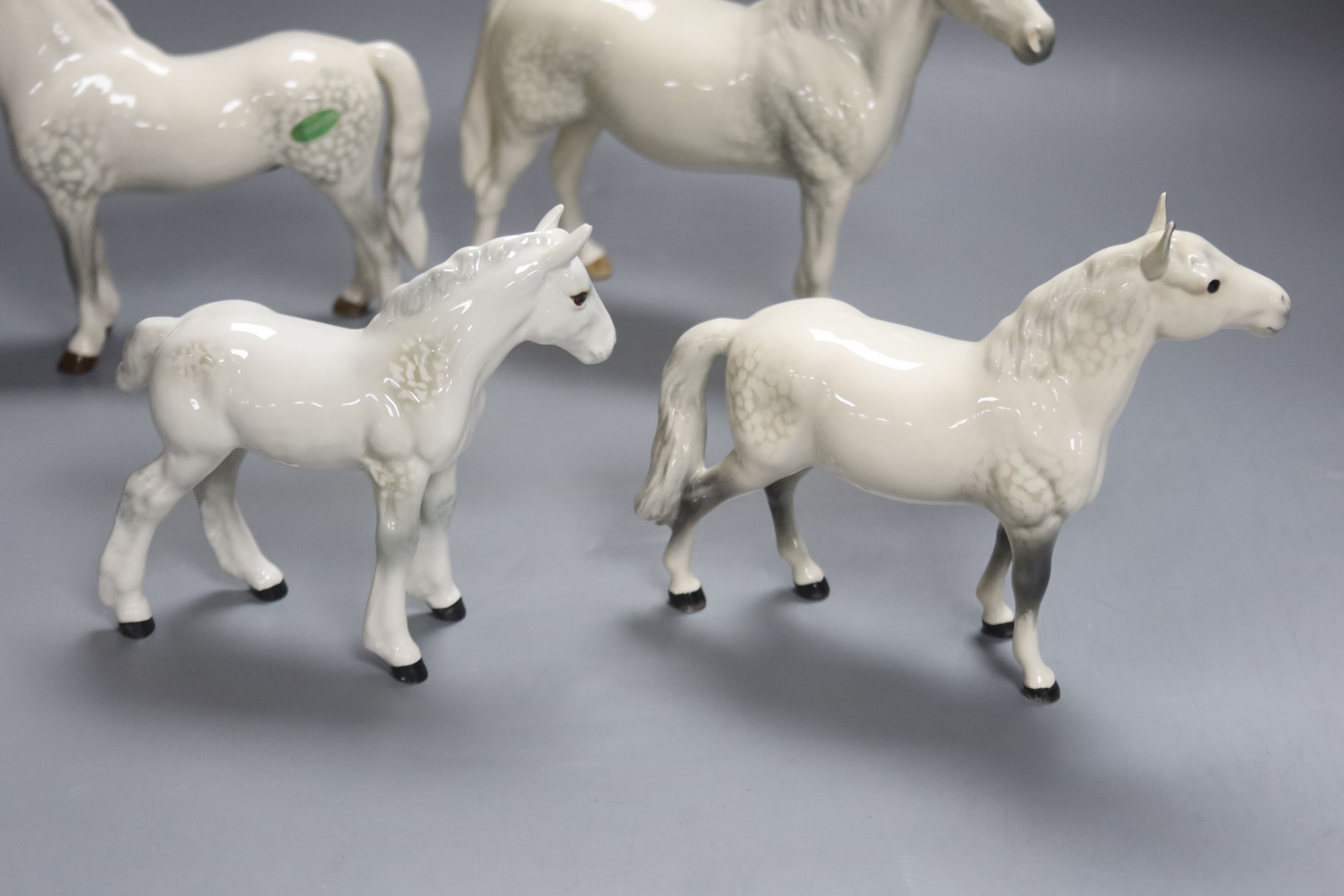 Four Bewsick grey horses